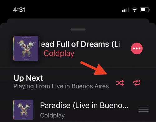 Find Repeat Shuffle Buttons iOS 13