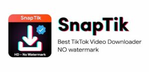 tiktok downloader