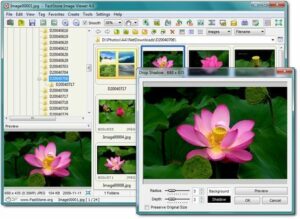 free photo organizer for window 10