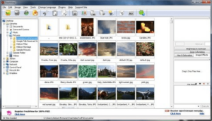 free photo organizer for window 10