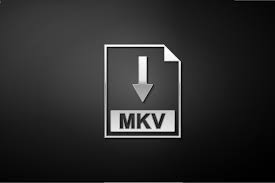 mkv player