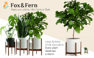 plant stand