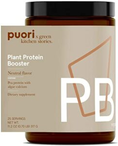 vegan protein powder