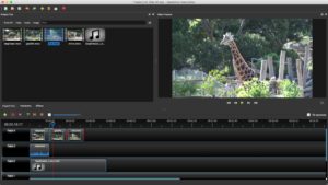 Video Editing Software