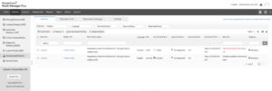 ManageEngine Patch Manager Plus