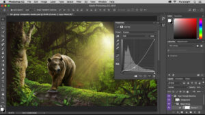 Photoshop CC