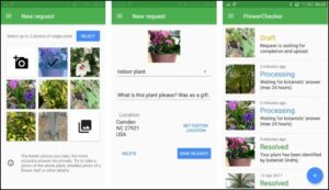 FlowerChecker+