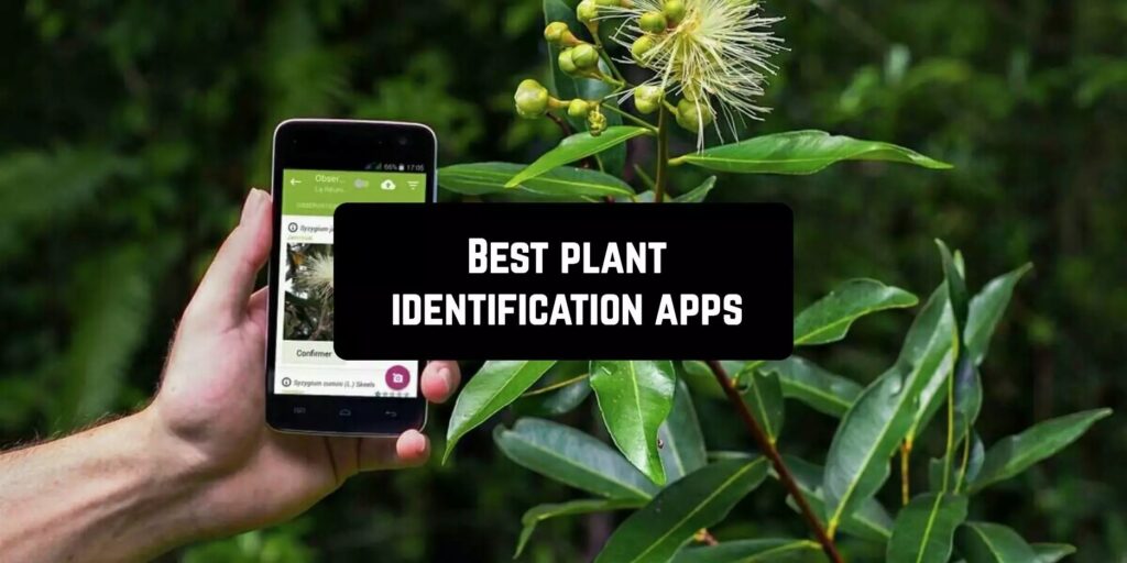 Best plant identifier apps for android