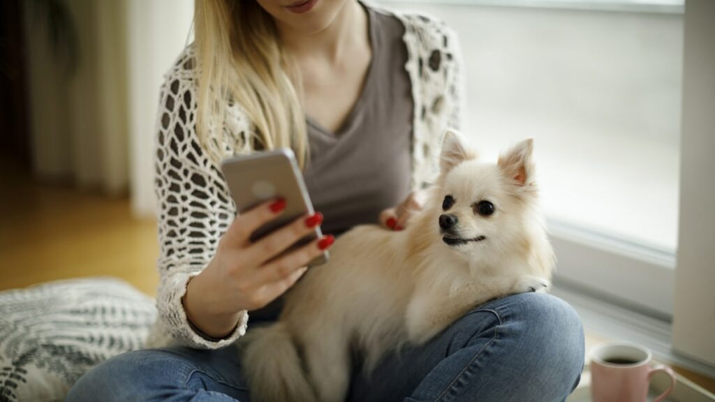 Top Best Dog Monitoring Apps For iPhone Users