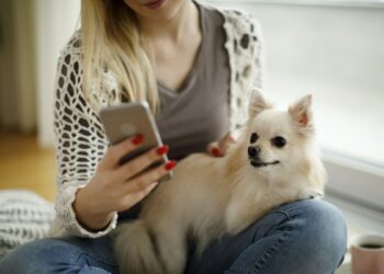 Top Best Dog Monitoring Apps For iPhone Users