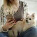Top Best Dog Monitoring Apps For iPhone Users